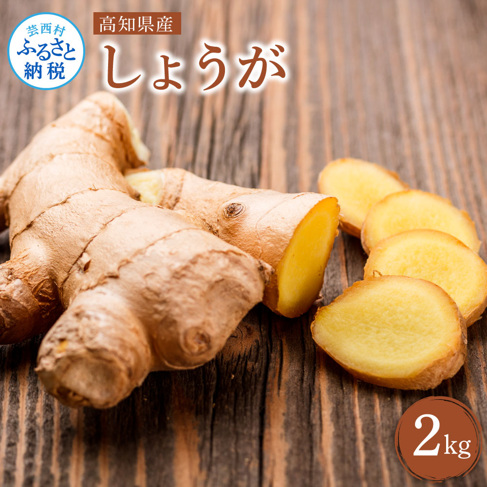 高知県産 生姜 2kg ショウガ しょうが 土佐一 常温配送 お取り寄せ まとめ買い 大量 美味しい おいしい 野菜 ジンジャー おかず 料理 生姜焼き 生姜湯 薬味 ふるさとのうぜい 故郷納税 9000円 高知県 高知 返礼品