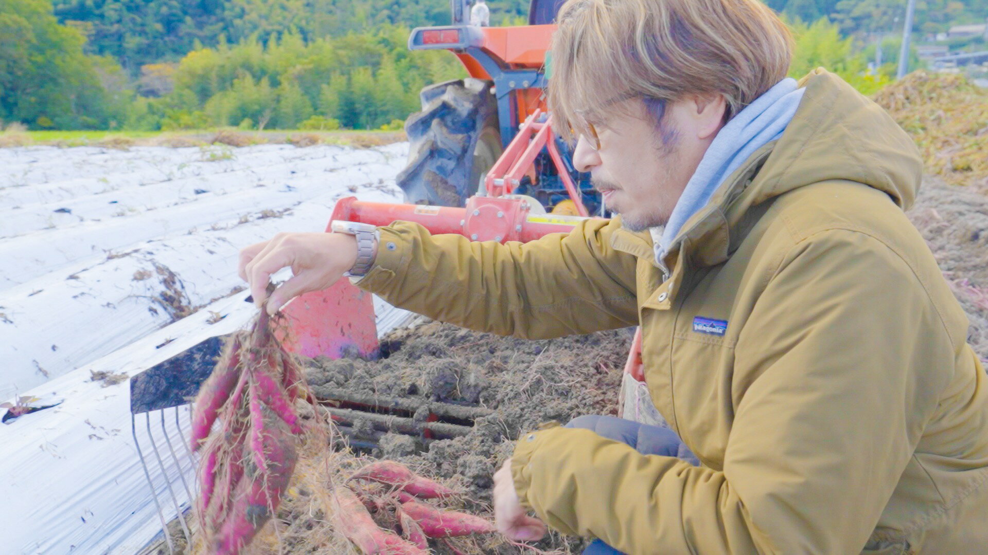 【ふるさと納税】自然のままに。山下農園の超自然農法で育ったさつまいも（紅はるか）15kg　サツマイモ さつまいも 焼き芋 紅はるか 無農薬 国産 甘い 高知県
