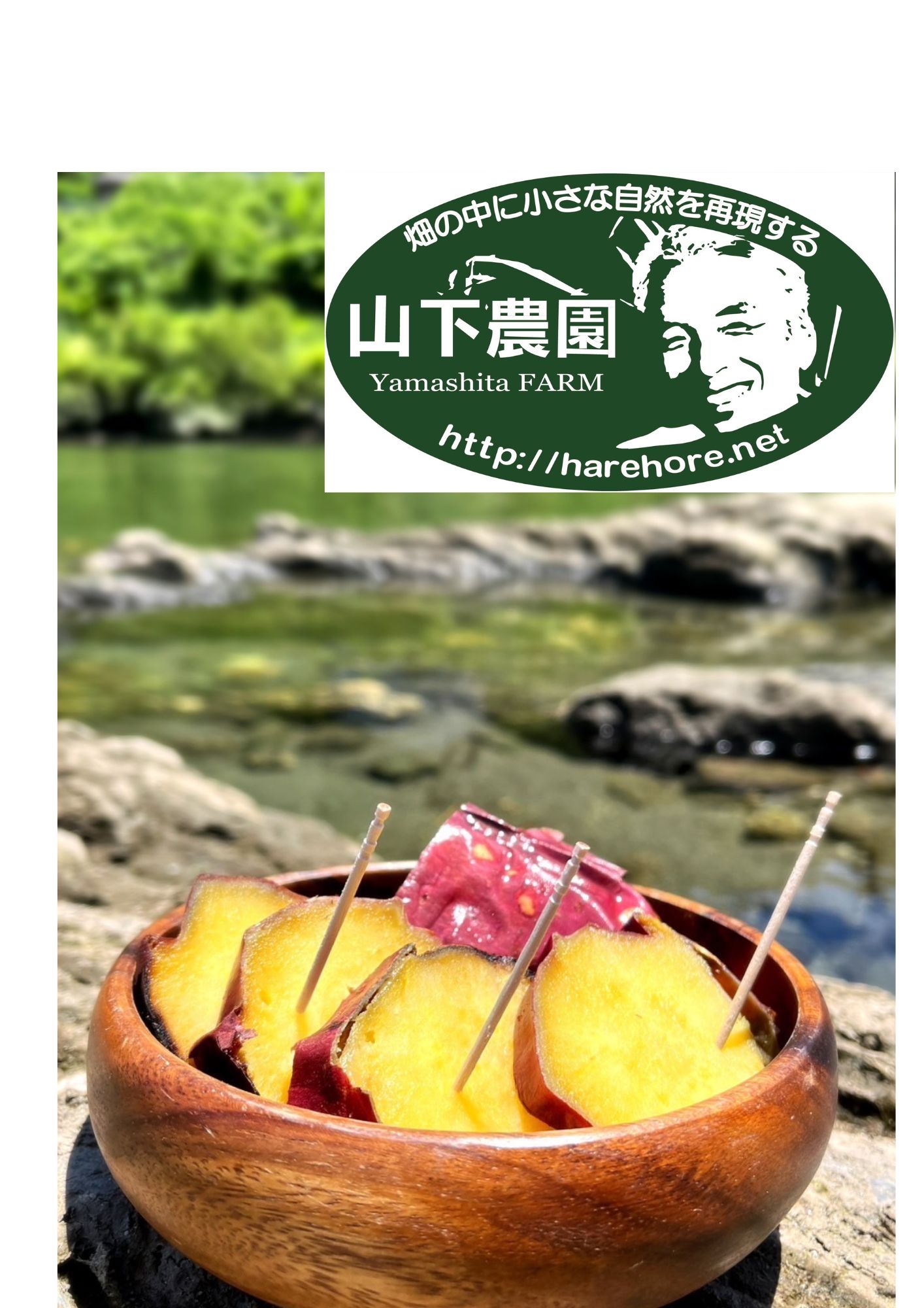 高知県本山町の画像3