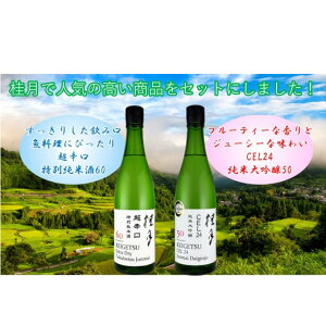 【ふるさと納税】土佐　れいほくの地酒　フルーティーな純米大吟醸酒と超辛口・特別純米酒セット　【お酒・日本酒・大吟醸酒・純米吟醸酒・フルーティー・辛口・桂月】