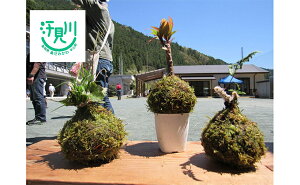 【ふるさと納税】汗見川ふれあいの郷清流館「苔玉づくり体験」利用券 体験チケット