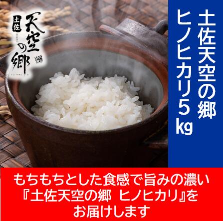 農林水産省の「つなぐ棚田遺産」に選ばれた棚田で育てられた棚田米 土佐天空の郷 ヒノヒカリ 5kg お米・ヒノヒカリ