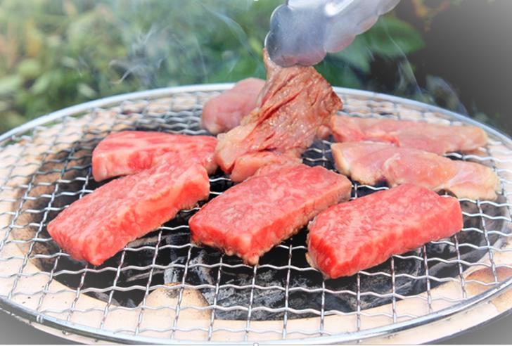 【ふるさと納税】土佐あかうし焼肉セット3(ロース400g+カルビ400g+モモ400g)