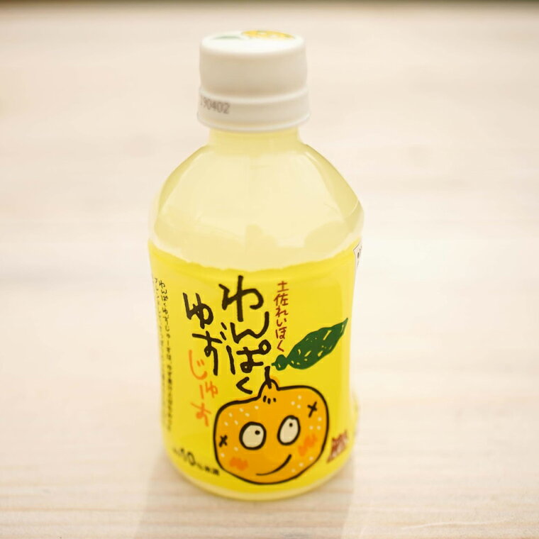 【ふるさと納税】わんぱくゆずジュース 280ml×12本