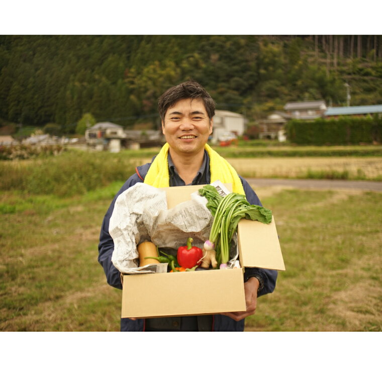 【ふるさと納税】土佐れいほく野菜（3回お届け）