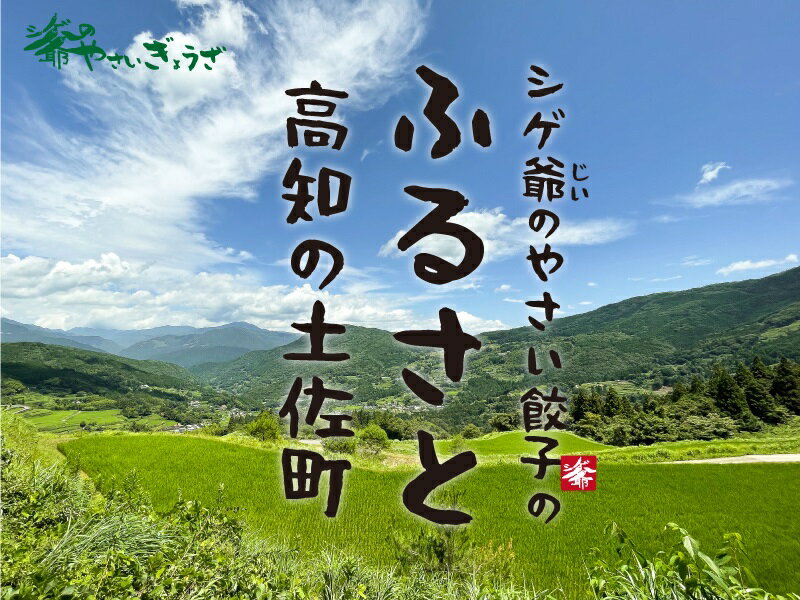 【ふるさと納税】国産素材にこだわったシゲ爺のやさいぎょうざ 2