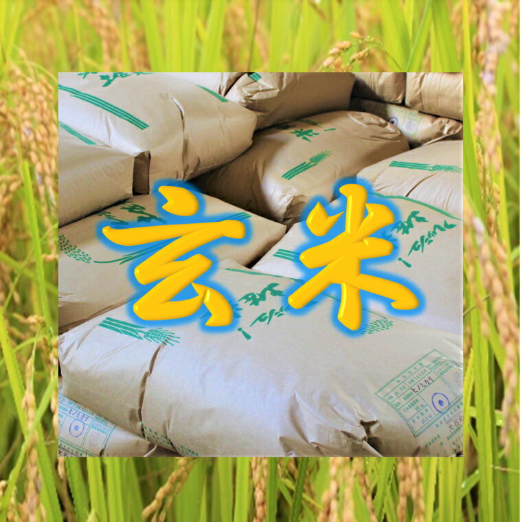 【ふるさと納税】土佐棚田の米『こだわり』玄米 30kg