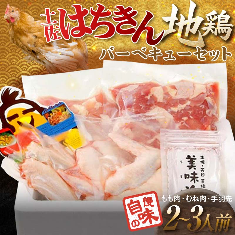 土佐はちきん地鶏 バーベキューセット(2〜3人前) もも肉 むね肉 手羽先 天日塩 BBQ アウトドア 料理 地鶏 モモ肉 ムネ肉 胸肉 鶏肉 とり肉 とりにく 肉 高知県 大川村 F6R-009