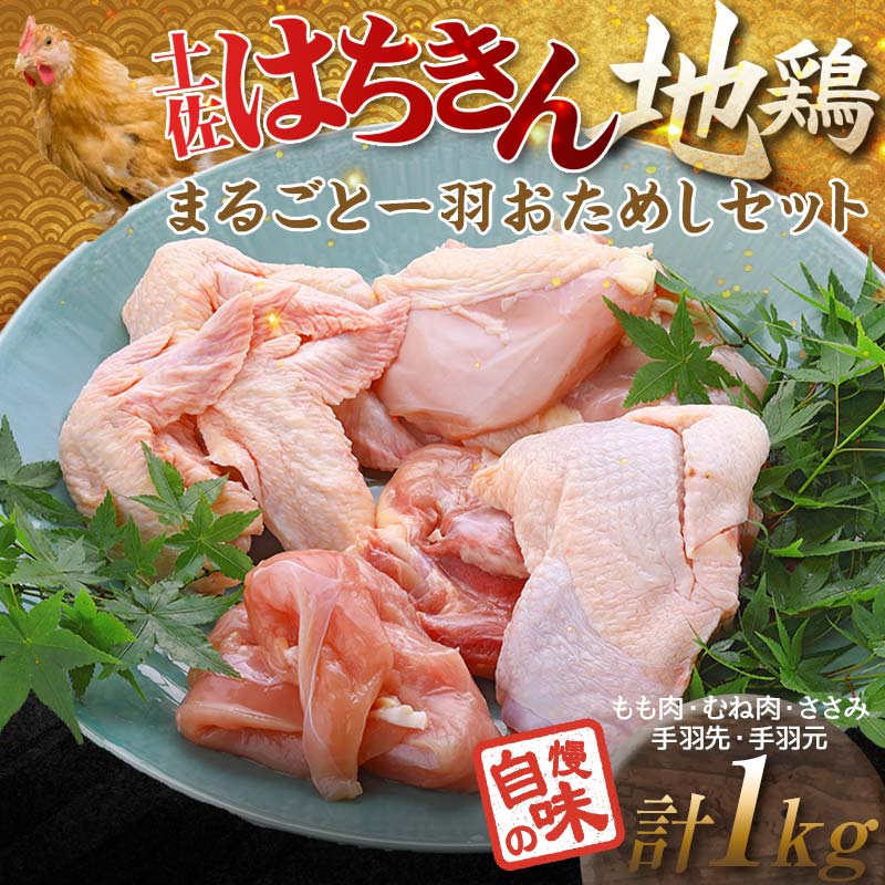 土佐はちきん地鶏 まるごと一羽おためしセット 約1kg もも肉 むね肉 ささみ 手羽先 手羽元 地鶏 モモ肉 ムネ肉 胸肉 ササミ 鶏肉 とり肉 とりにく 肉 高知県 大川村 F6R-010