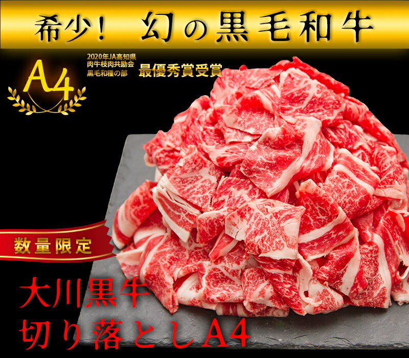 【ふるさと納税】国産黒毛和牛 大川黒牛切り落とし A4　250g　2パック　計500g　数量限定