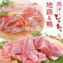 【ふるさと納税】土佐はちきん地鶏もも肉&土佐鴨ロース・モモ肉