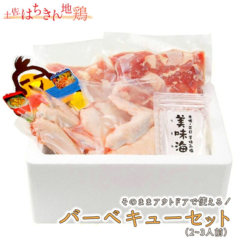 【ふるさと納税】地鶏 土佐はちきん地鶏バーベキューセット 保冷box入りもも肉(350g) むね肉（200g） ...