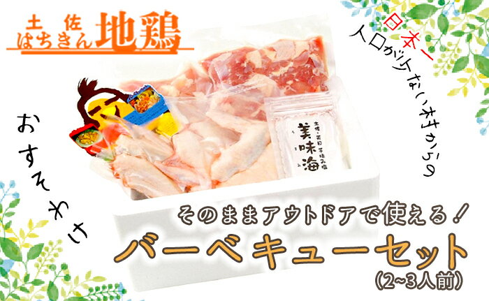 【ふるさと納税】地鶏 土佐はちきん地鶏バーベキューセット 保冷box入りもも肉(350g) むね肉（200g） 手羽先（6本） 天日塩（30g） 2人前 3人前