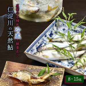 【ふるさと納税】6月から9月の発送★仁淀川の天然鮎(8匹〜15匹)★冷蔵 川魚 友釣 しゃくり グリル アユ あゆ 若鮎 使いやすい 調理 塩焼き 甘露煮 天然 産地直送