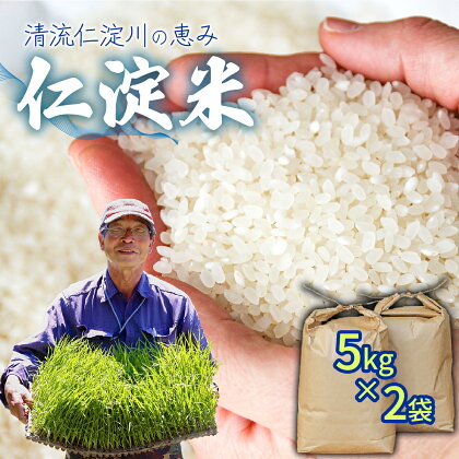 上東産仁淀米（2024年10月末から発送）無洗米 お米 数量限定 産地直送 送料無料 予約受付 こめ コメ 香り