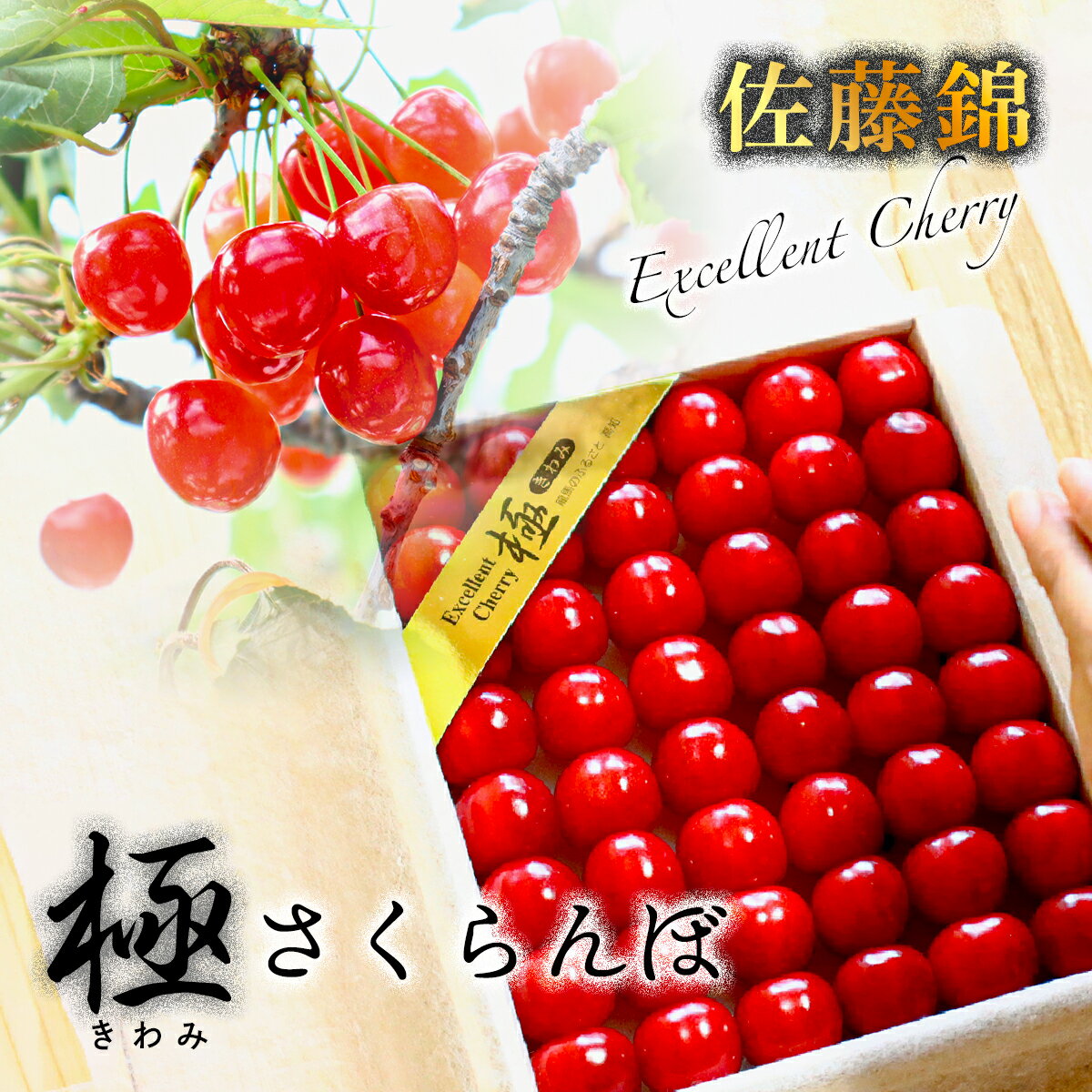 【ふるさと納税】極みさくらんぼ (佐藤錦)　2024年1月下旬～順次発送 令和6年産 特秀 極 酸味 甘味 お取り寄せ ギフト 贈答 フルーツ 特産 艶
