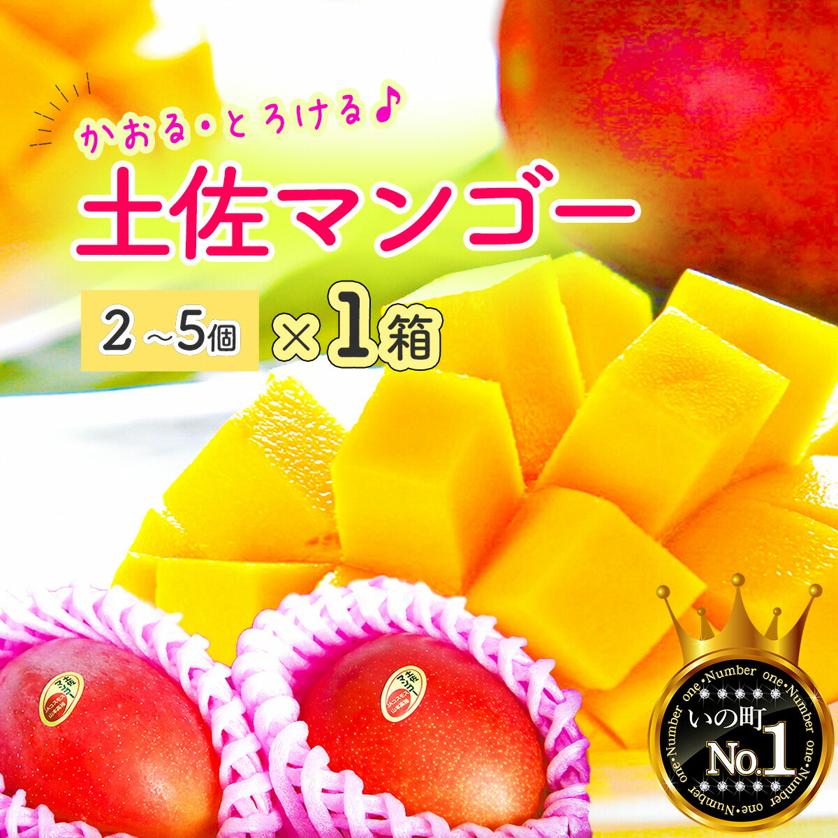 【ふるさと納税】かおる・とろける！土佐マンゴー(2～5個)×1箱 完熟 予約受付 フルーツ 特産品 産地直送 送料無料 期間限定 数量限定 美味しい おすすめ 5月 6月のサムネイル