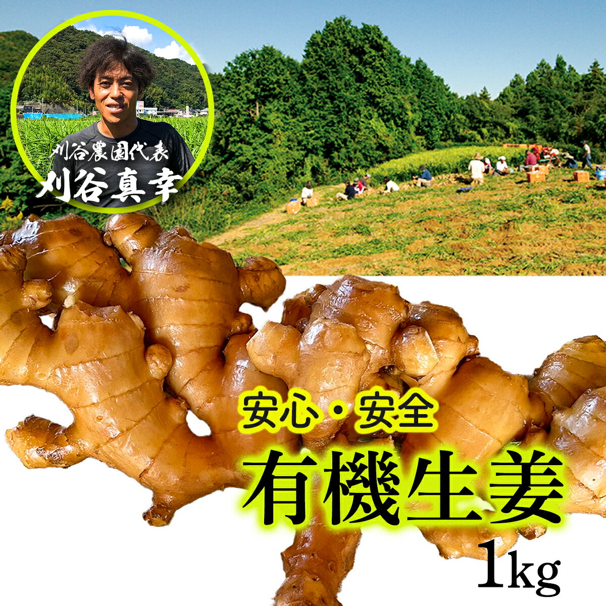 刈谷農園の有機生姜1kg(有機JAS認定取得)ginger ジンジャー 香り 農業 有機野菜 減農薬 健康 産地直送 送料無料