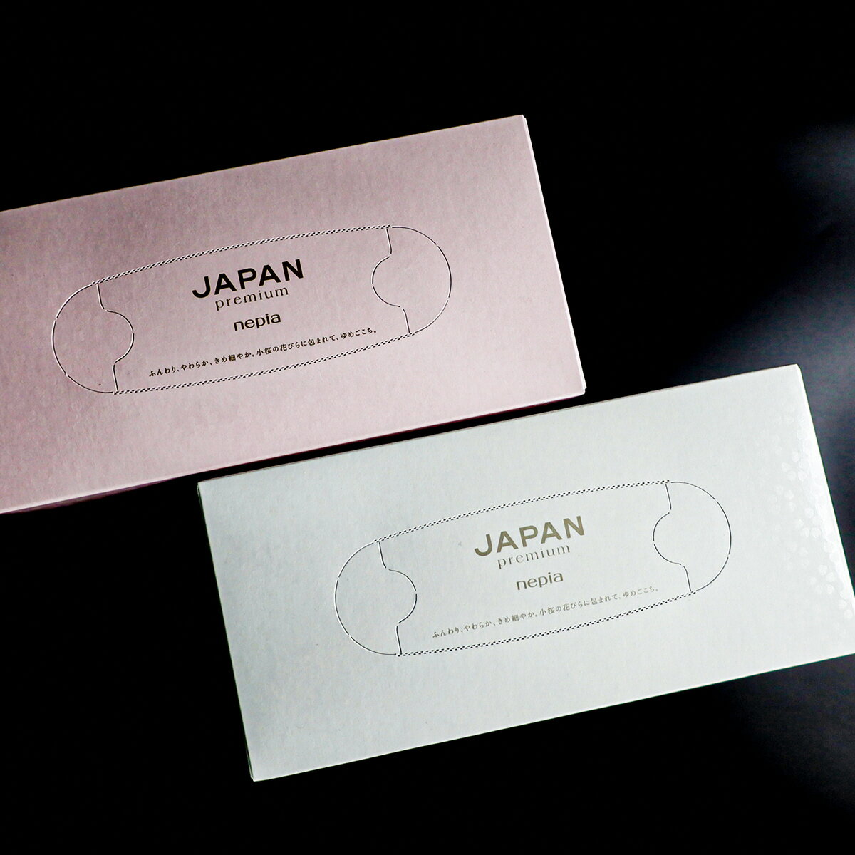 【ふるさと納税】JAPANプレミアムセット(10箱×2 / 高品質BOXティッシュ）