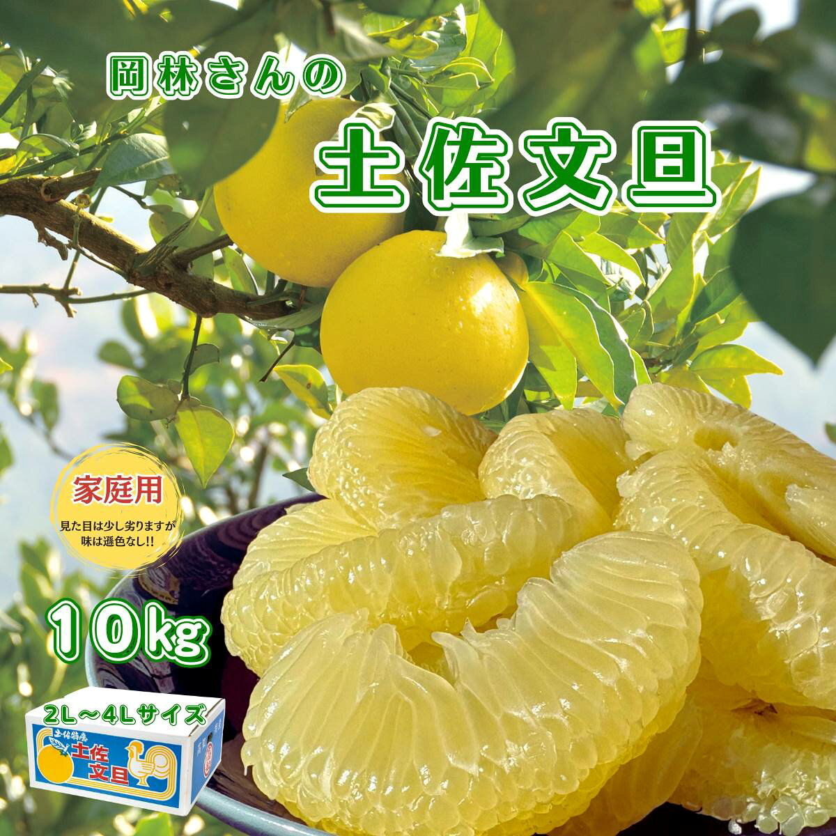 【ふるさと納税】香る！さっぱり！岡林さんの土佐文旦家庭用10g柑橘フルーツ高知産産地直送数量限定美味しいおすすめ2月
