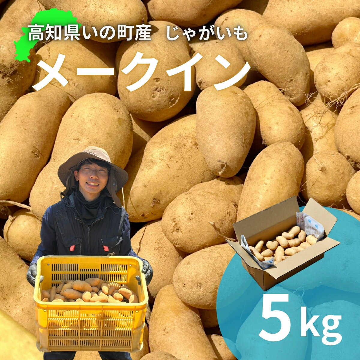 【ふるさと納税】じゃがいも5kg（メークイン）