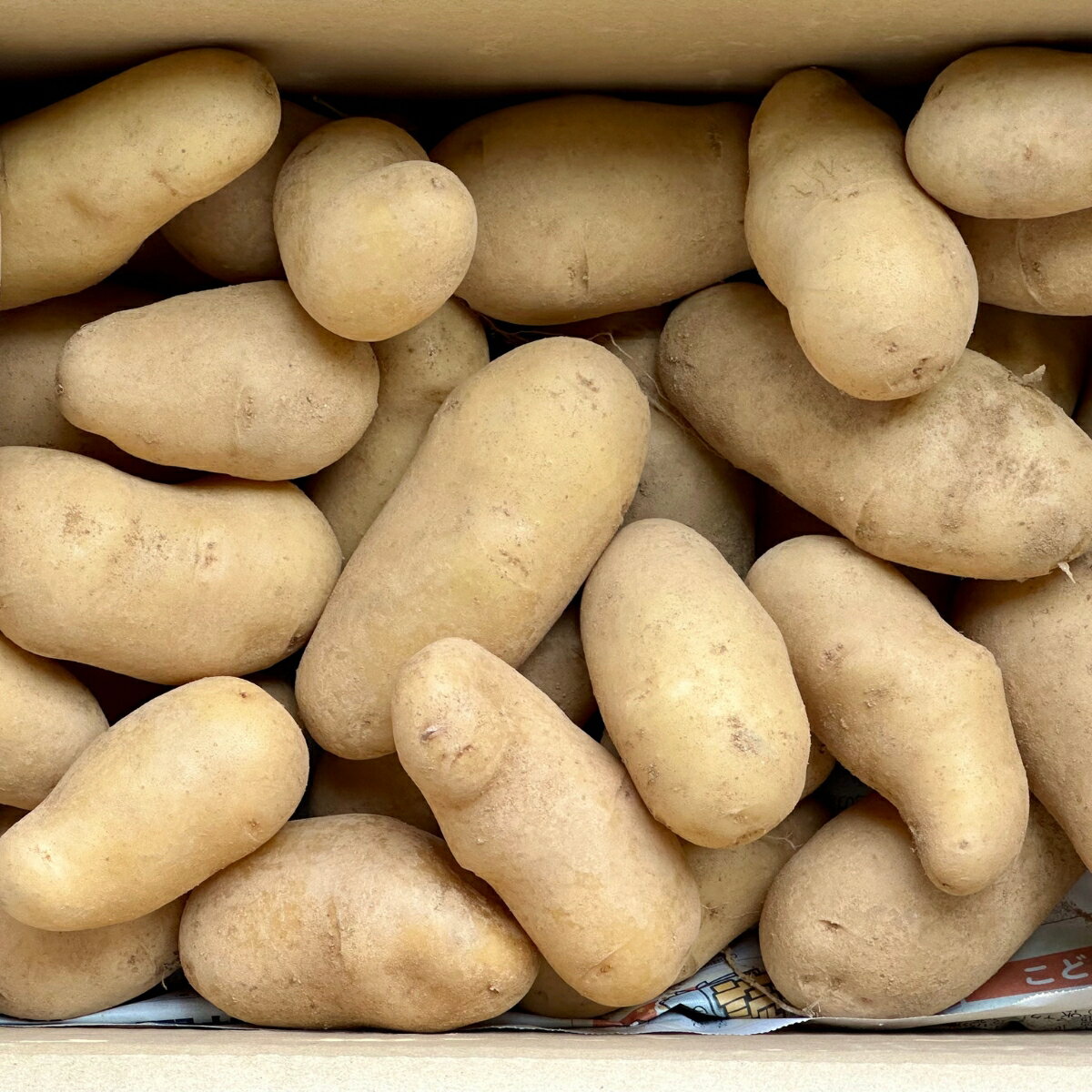 高知県いの町の画像3