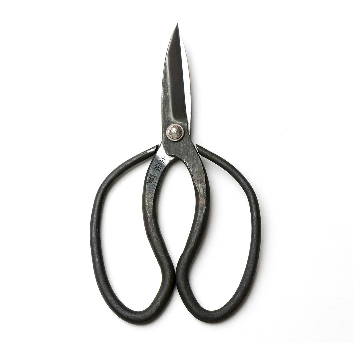 高知県いの町の画像2