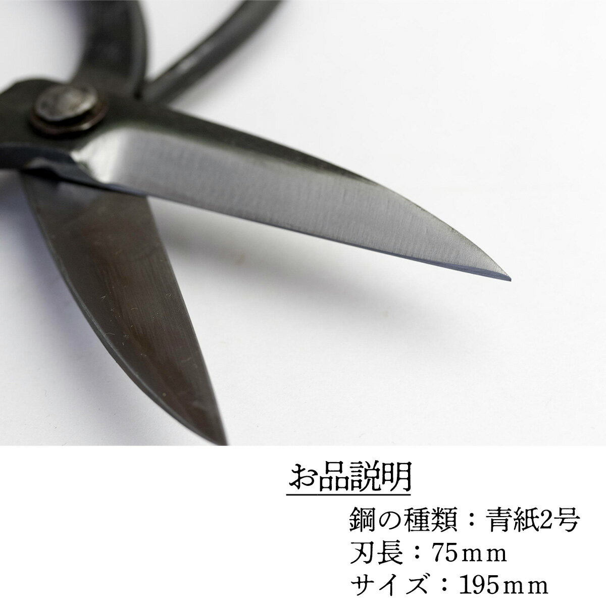 高知県いの町の画像3