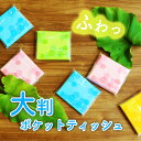 【ふるさと納税】ふわっと柔らか★大判ポケットティッシュ (120個) 花粉症 ソフト ポケット 持ち運び 子ども 子供 ミニ 使いやすい 衛生的