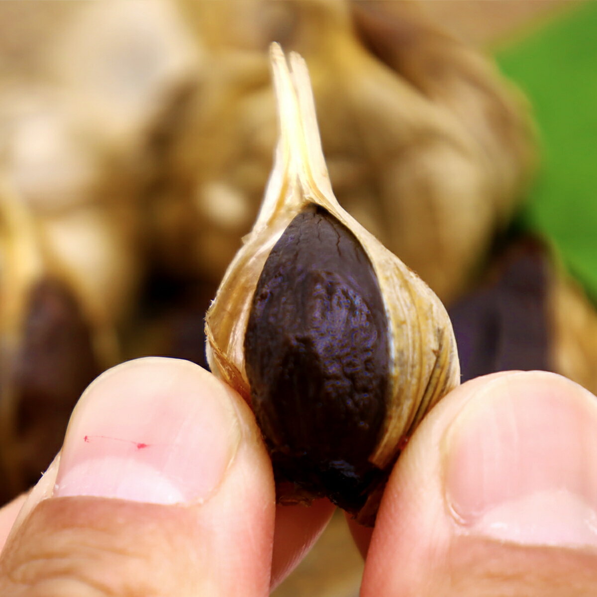 【ふるさと納税】黒にんにく「土佐の隠し玉」　1袋×250g