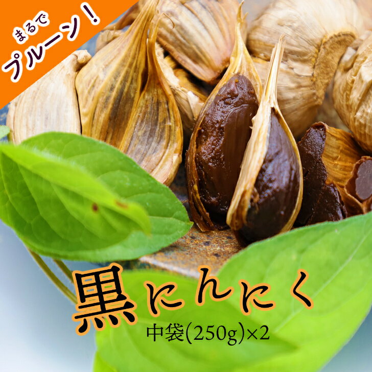 黒にんにく「土佐の隠し玉」　2袋×250g