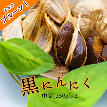 黒にんにく「土佐の隠し玉」　2袋×250g