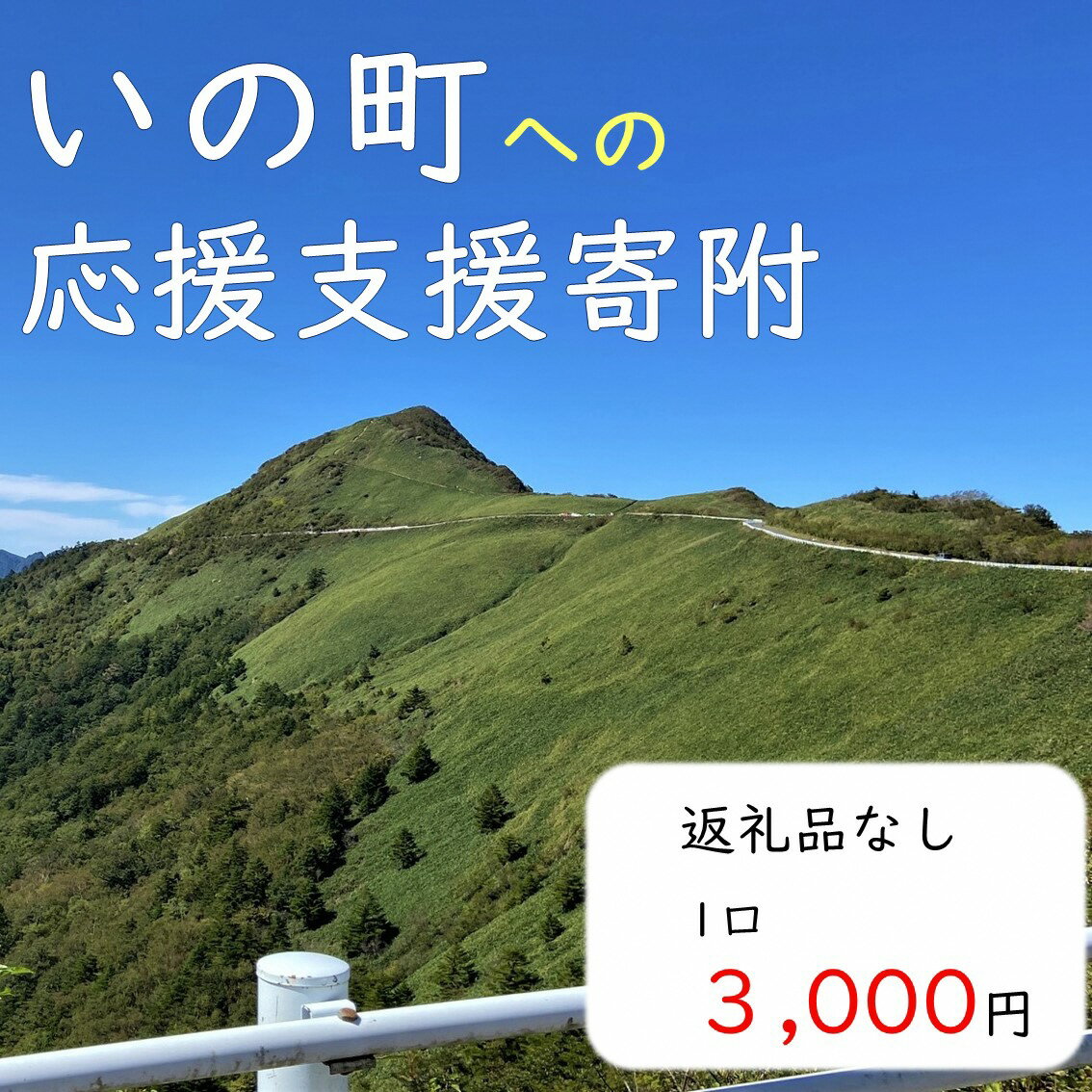 30位! 口コミ数「0件」評価「0」高知県いの町への応援支援寄附（返礼品なし　1口　3,000円）