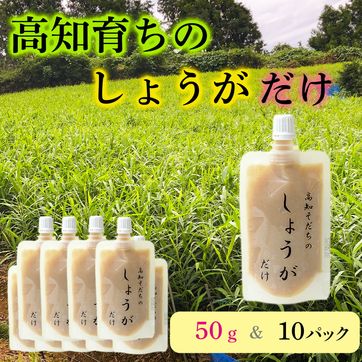 高知そだちのしょうがだけ(50g×10パック)