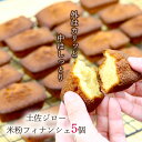 【ふるさと納税】土佐ジロー卵の米粉フィナンシェ(5個)