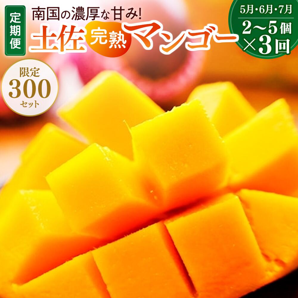 【ふるさと納税】土佐マンゴー定期便【限定300セット】全3回 5月 6月 7月 おすすめ とろける フレッシュ 自慢 完熟 予約 ギフト