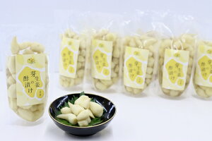 【ふるさと納税】芽生姜の甘酢漬け 10パック