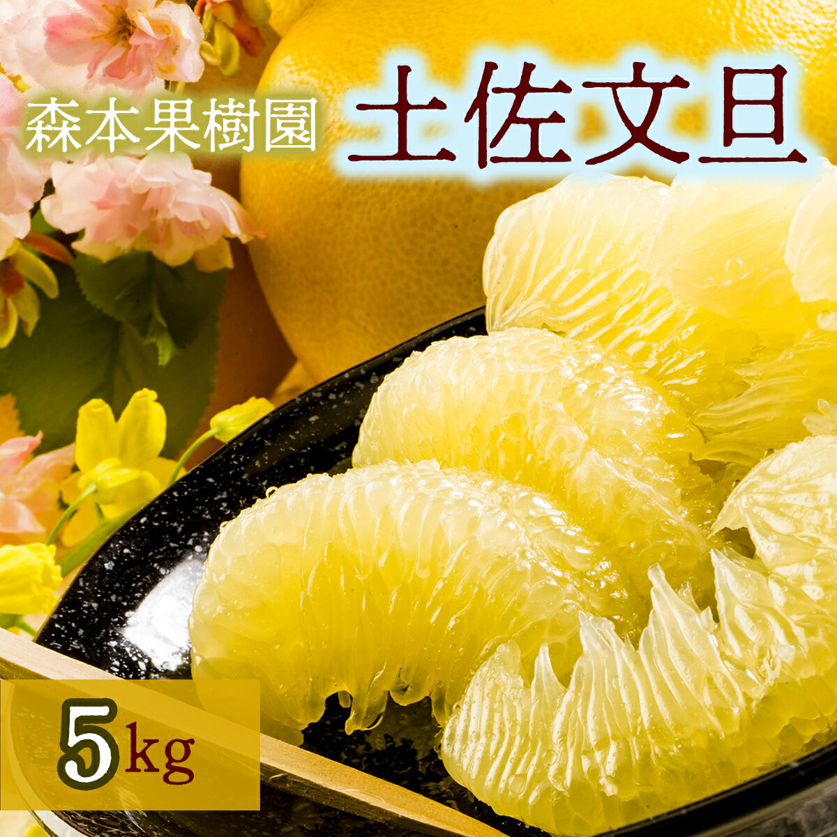 【ふるさと納税】土佐文旦家庭用5kg（森本果樹園）