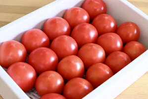 ふるさと納税 まっことうまい水田さんの フルーツトマト 約1kg 高知県いの町ひとつひとつ 皮ごと甘い 一途に作り続けるフルーツトマト 野菜 きのこ トマト ふるさと納税 まっことうまい水田さんの フルーツトマト 約1kg 高知県いの町ひとつひとつ 皮ごと甘い 一途に作り続けるフルーツトマト 野菜 きのこ トマト