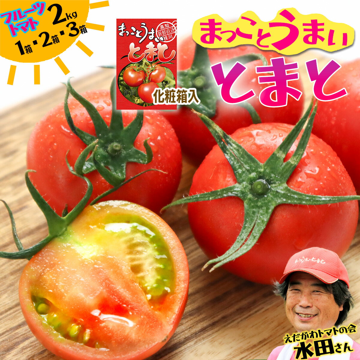 【ふるさと納税】水田さんのまっことうまい！フルーツトマト 約