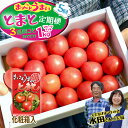 【ふるさと納税】【数量限定】まっことうまい!水田さんのフルーツトマト1kg定期便(3週間ごとお届け・全5回)化粧箱入 高知県産 お取り寄せ おすすめ 美味しい ...