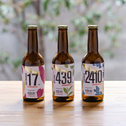 0123102クラフトビール セット 奇跡の清流 仁淀川 天然水仕込みのクラフトビール（3種セット)