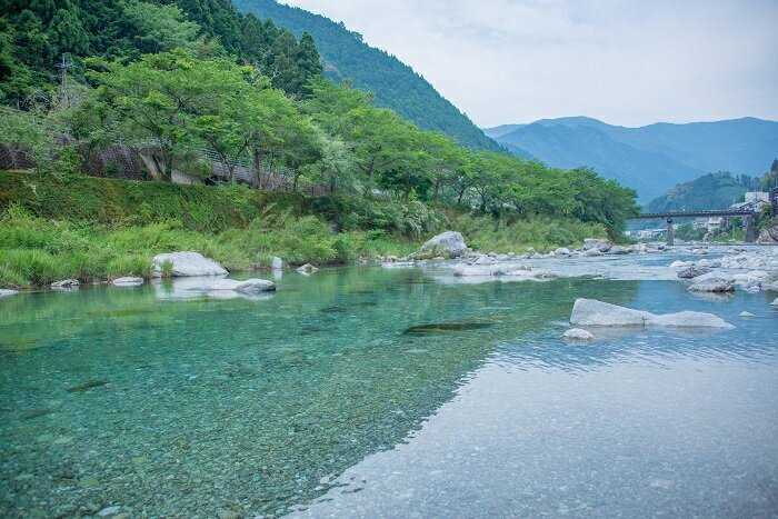 【ふるさと納税】鮎 あゆ 天然鮎 仁淀川町 高知県 仁淀川 での 鮎の 友釣り 体験【大人1名・子ども1名（高校生以下）】