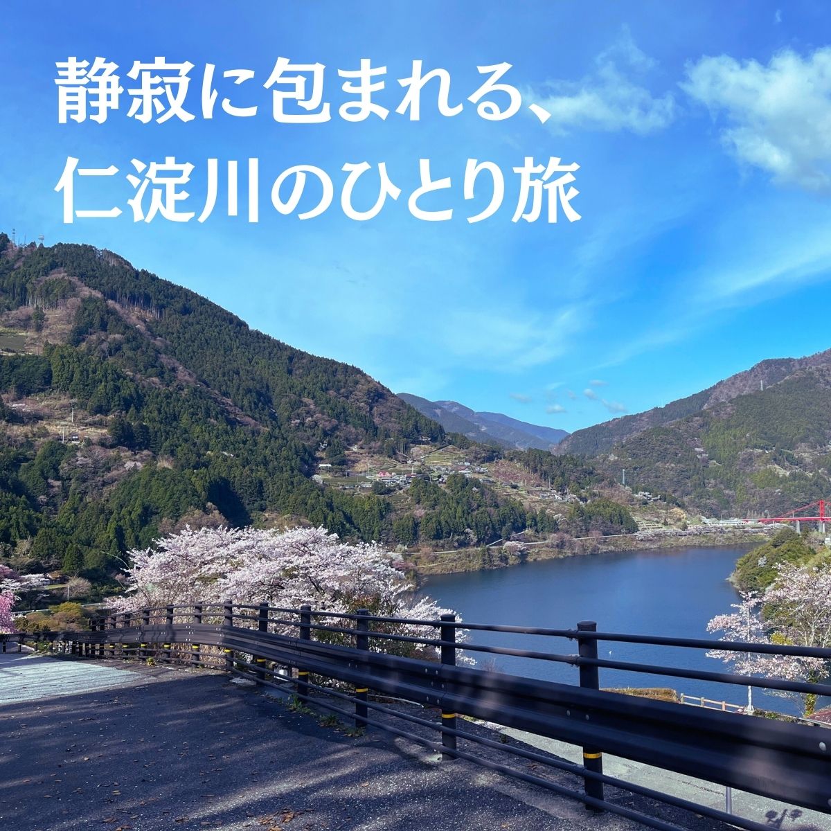 【ふるさと納税】秋葉の宿 ペア1泊2食付きプラン 食事 四国 宿泊券 高知 宿泊 ペア 仁淀川町