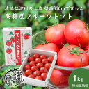 【ふるさと納税】\夏秋限定・先行予約/無加温栽培てっぺんとまと 1kg(1箱)【高知県産/産地直送】フルーツトマト トマト とまと 野菜 やさい お取り寄せ ※10月中旬受付終了
