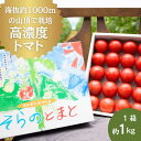 【ふるさと納税】【先行予約】【期間限定】そらのとまと 1kg 夏秋限定 無加温栽培 高知県産 フルーツトマト とまと トマト 野菜 やさい 産地直送 人気 おすすめ 贈答 ギフト 送料無料 お取り寄せ