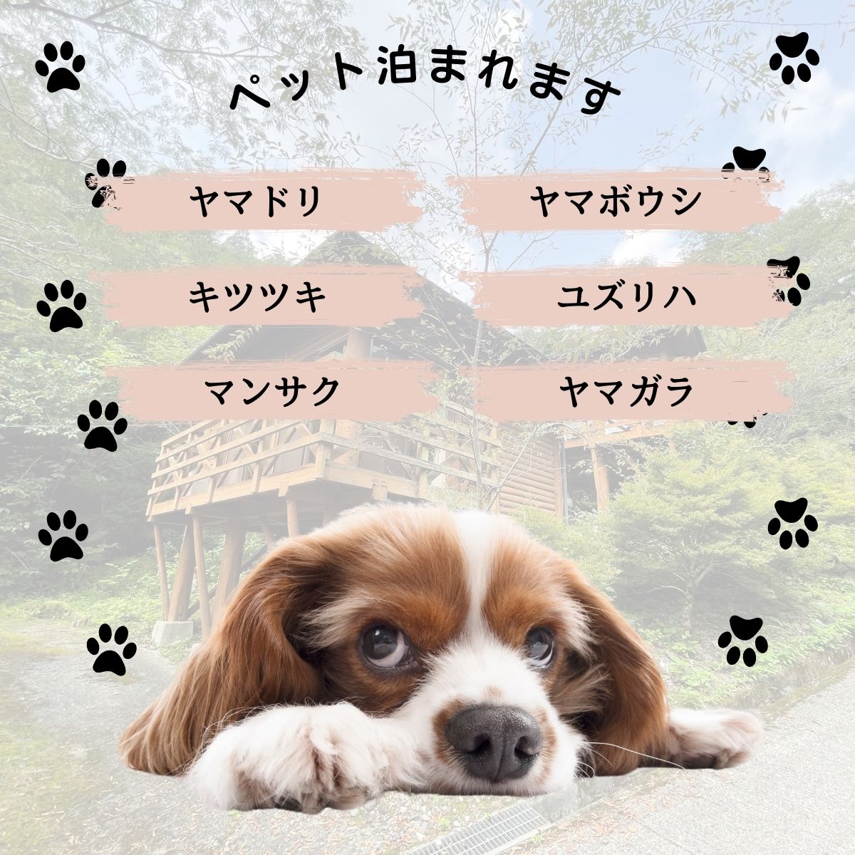 高知県仁淀川町の画像3