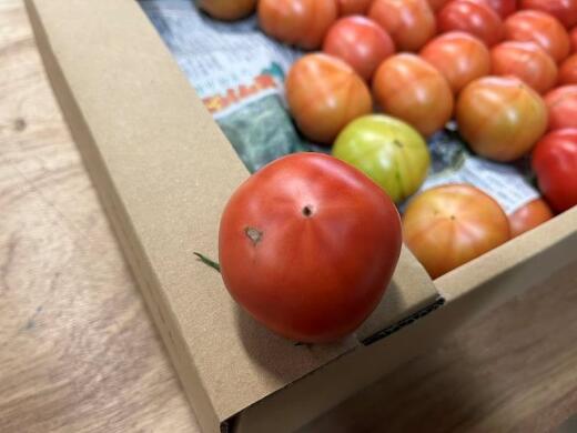 【ふるさと納税】訳ありてっぺんとまと（5kg/1箱）高知県産 てっぺんとまと 5kg 無加温栽培 フルーツトマト 高騰度 甘い とまと トマト 野菜 やさい 産地直送 ご家庭用 訳あり 送料無料