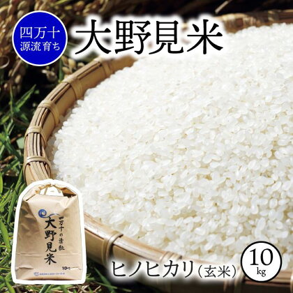 特別栽培大野見米ヒノヒカリ10kg（玄米）