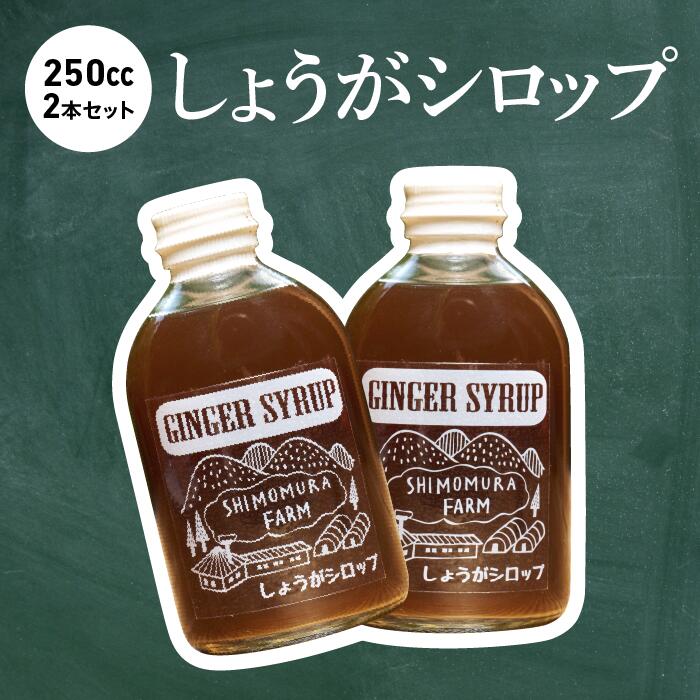 25位! 口コミ数「1件」評価「5」【農家手作り】中土佐町産　しょうがシロップ2本セット（活用レシピ付き） 250ml×2本 生姜シロップ ジンジャーシロップ 国産 高知県産